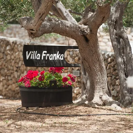 Appartamento Franka With Swimming Pool Bol